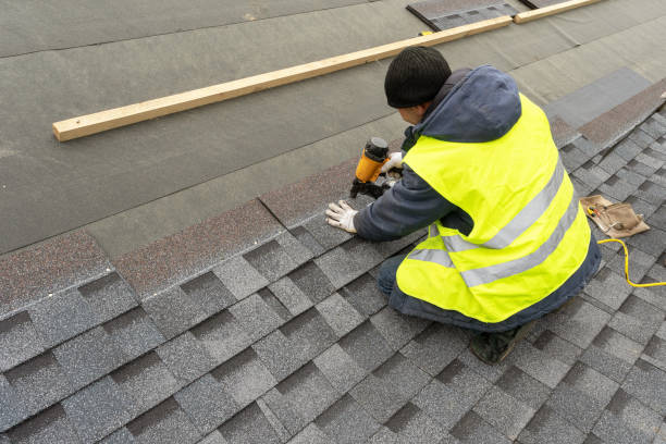 Best Local Roofing Companies  in Horse Cave, KY