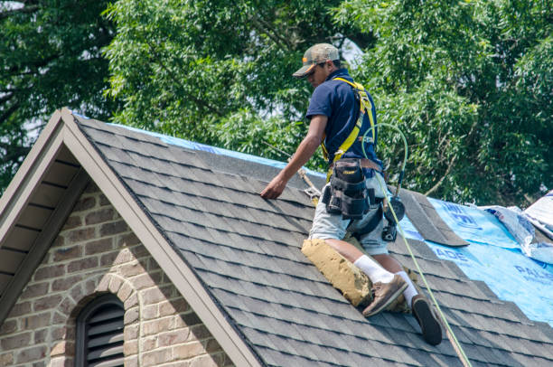 Best Commercial Roofing Services  in Horse Cave, KY